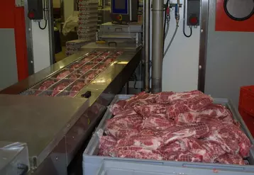 Viande de porc : comment ont évolué les prix industriels en octobre ?