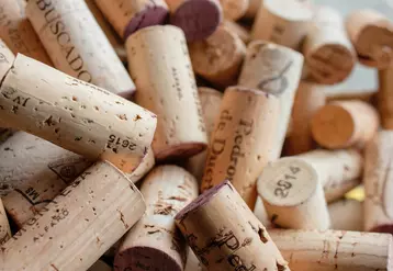 La production française de vin atteindra un niveau historiquement bas cette année.