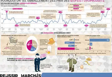Infographie sur les prix des oeufs parue dans le mensuel Les Marchés Mag de décembre