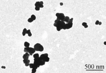 Nanoparticules de dioxyde de titane Inra Toxalim