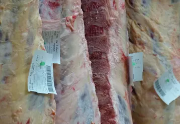 carcasse bovin réfrigérée