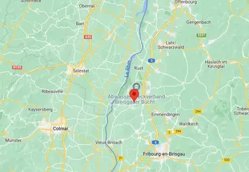 Le cas allemand de peste porcine est proche de Colmar