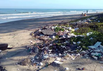 Pollution d'une plage par des plastiques