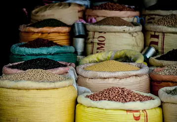 Les prix alimentaires mondiaux sont assez stables en novembre selon la FAO