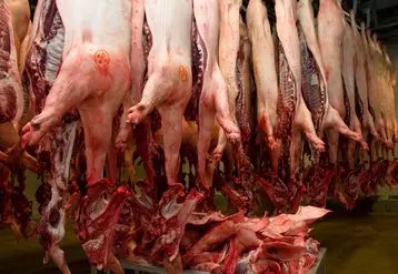 Sobevir, abattoir et atelier de découpe dans les Ardennes. Production de viande porcine et autre. carcasse de porc française. carcasses de porcs. approvisionnement ...