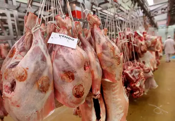 commercialisation de carcasses d'agneau Halal 