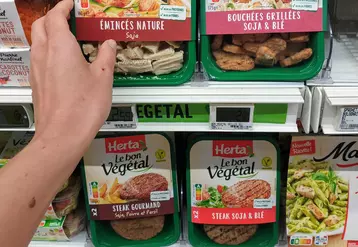 rayon vegan en magasin