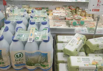 rayon lait et oeufs bio en magasin