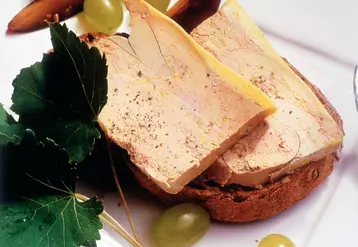 Vigneronne de foie gras et grains de raisin. Gastronomie française. 
