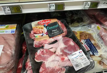 viande de canard en supermarché