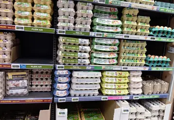 rayon oeufs en supermarché