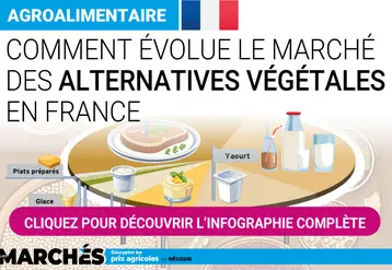 extrait de l'infographie sur les ventes d'alternatives végétales