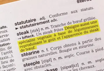 fausse page de dictionnaire