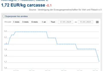 graphique cours du porc en Allemagne