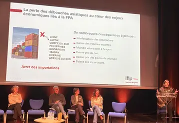 Conférence avec des intervenants de l'Ifip qui parlent de la fièvre porcine africaine