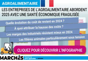 Infographie sur la santé économique des entreprises de l'agroalimentaire