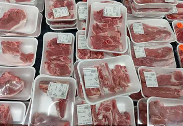 barquettes de viande d'agneau en supermarché