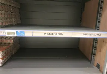 image d'un rayon oeuf vide