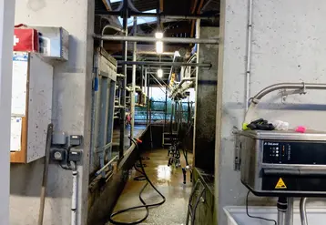 Salle de traite dans une ferme laitière