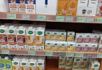 rayon lait végétal en magasin bio