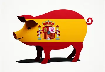 un drapeau espagnol détouré selon la silhouette d'un cochon 