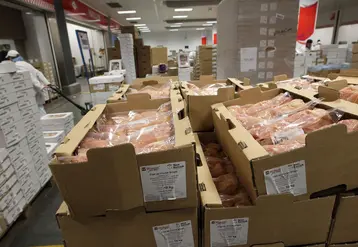 Stock de poulets pour la vente