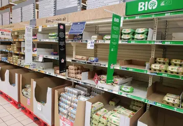 rayon oeufs à carrefour
