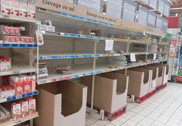 rayon oeuf vide en gms