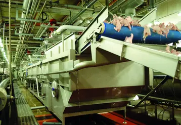 Ligne de refroidissement à l'eau chez Tilly-Sabco. Refroidisseur pour poulets. Industrie de la volaille