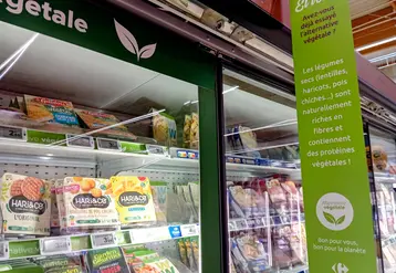 rayon alternatives végétales dans un supermarché