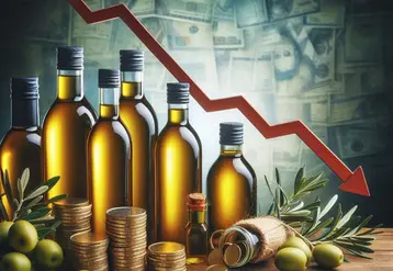 sur fond de bouteilles d'huile d'olive, une courbe de prix descendante