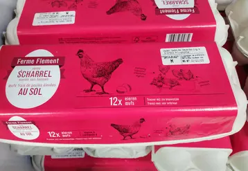 boite d'oeufs en Allemagne