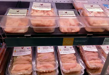 barquettes de volailles