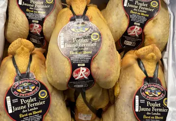 Le poulet label Rouge Rungis