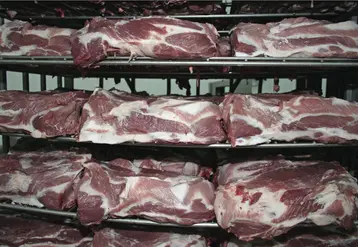 viande de porc dans un abattoir russe. agroalimentaire.