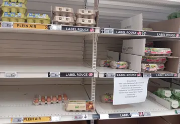 Rayon oeuf en grande surface