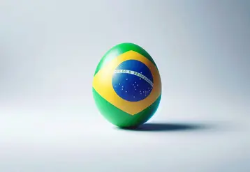 un oeuf avec le drapeau brésilien sur la coquille