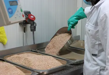poudre de coquille d'oeuf dans une usine