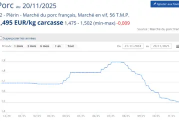 Graphique cours du porc au MPF