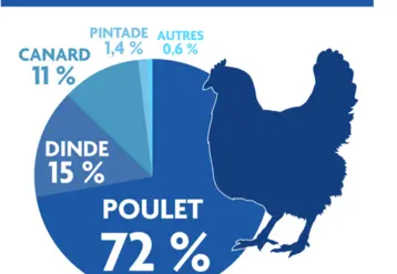 Anvol analyse volailles