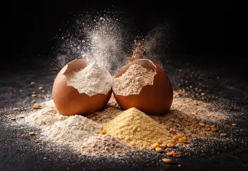 d'une coquille d'oeuf brisée, sortent des farines.