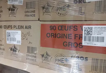 cartons sous film plastique