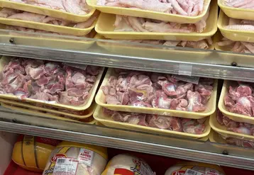  Poulets dont des gésiers et des pattes vendus en magasin 
