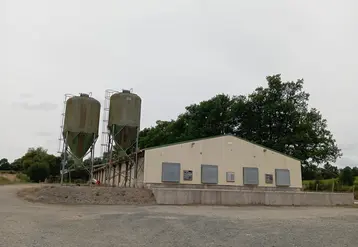 Elevage de poulets en bâtiment