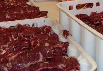 viande en usine
