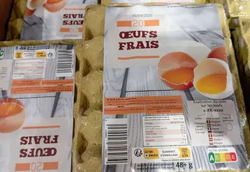 oeufs
