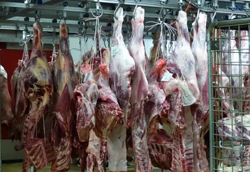 quartiers de viande au frigo