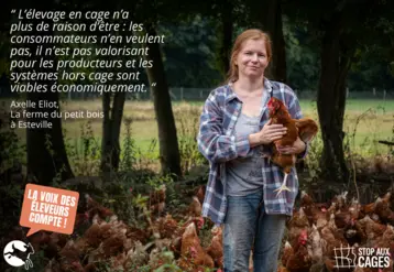carte postale avec une éleveuse de poules