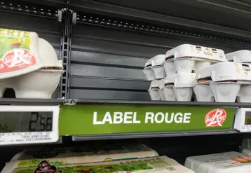 rayon oeuf