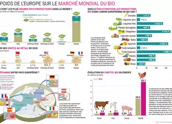 infographie illustrant le poids de l'europe sur le marché mondial du bio